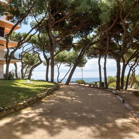 Cavall Bernat Platja d'Aro