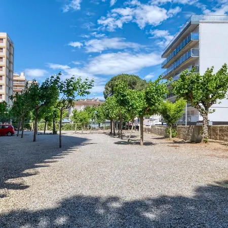 Cavall Bernat Platja d'Aro